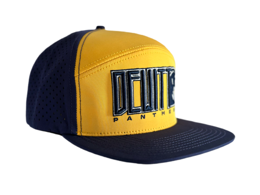 Dewitt Traditional